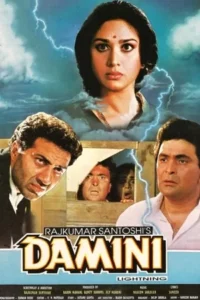 Download Damini (1993) Web-DL Hindi Movie 480p & 720p & 1080p