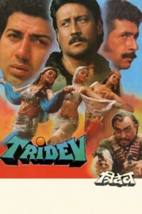Download Tridev (1989) Hybrid AMZN WEB-DL Hindi Movie (DD 5.1) 480p & 720p & 1080p ESub
