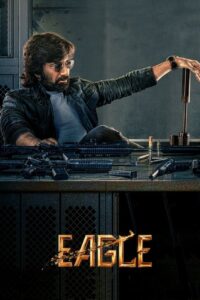 Download Eagle (2024) WEB-DL Dual Audio [Hindi-Telugu] 480p, 720p & 1080p Esub