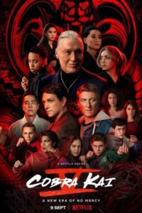 Download Cobra Kai (Season 1-6) WEB-DL Dual Audio {Hindi-English} 480p, 720p Esub WEB Series [Episodes 11-15 Added]