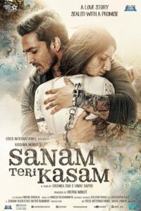 Download Sanam Teri Kasam (2016) BluRay Hindi Movie 480p, 720p & 1080p ESub