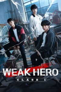 Download Weak Hero Class 1 & 2 (Season 1-2) WEB-DL Multi Audio {Hindi-English-Korean} 720p | 1080p ESub Netflix Web Series
