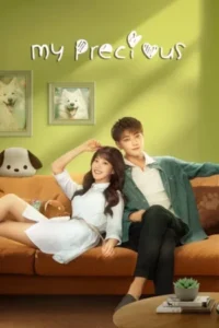 Download My Precious (Season 1) WEB-DL Dual Audio [Hindi Dubbed (ORG) + Chinese] 720p ESub (Chinese Drama TV Series) [All Episodes]