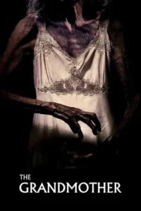 Download The Grandmother (2021) BluRay Dual Audio [Hindi-Spanish] 480p | 720p | 1080p ESub
