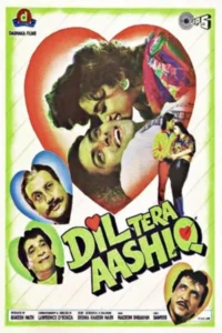 Download Dil Tera Aashiq (1993) AMZN WEB-DL Hindi Movie 480p & 720p & 1080p H.264 DDP 2.0 ESub