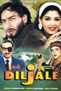 Download Diljale (1996) AMZN WEB-DL Hindi Movie (DD 2.0) 480p & 720p & 1080p ESub