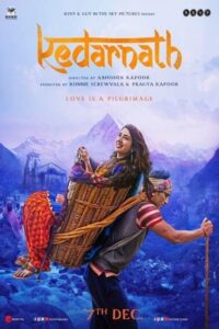 Download Kedarnath (2018) WEB-DL Hindi Movie 480p & 720p & 1080p ESub