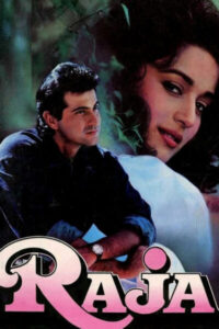 Download Raja (1995) WEB-DL Hindi Movie (DD2.0) 480p & 720p & 1080p ESub