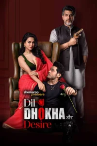 Download Dil Dhokha Aur Desire (Season 1) SM WEB-DL Hindi (DD 5.1) 480p & 720p & 1080p Web Series