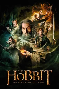 Download The Hobbit: The Desolation of Smaug (2013) BluRay EXTENDED REMASTERED Dual Audio {Hindi (DD 5.1) & English} 480p & 720p & 1080p MSubs